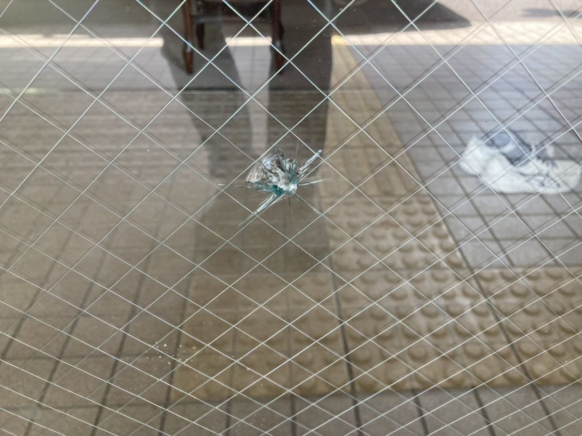 入り口ドアの透明ワイヤー入りガラス交換｜大阪府の施工写真